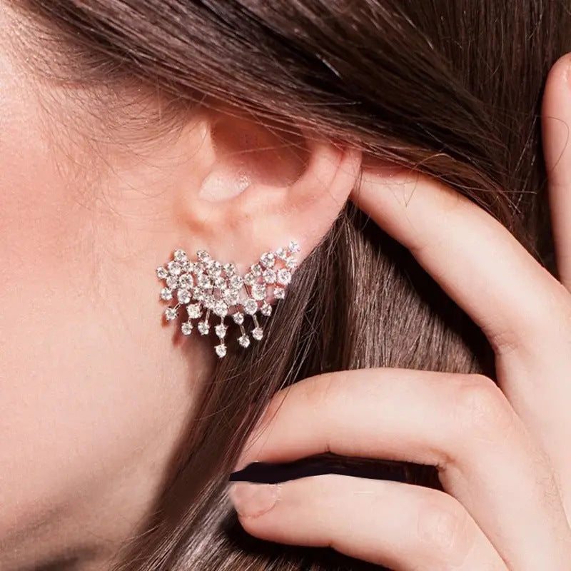 Beautiful Earring with Unique Style